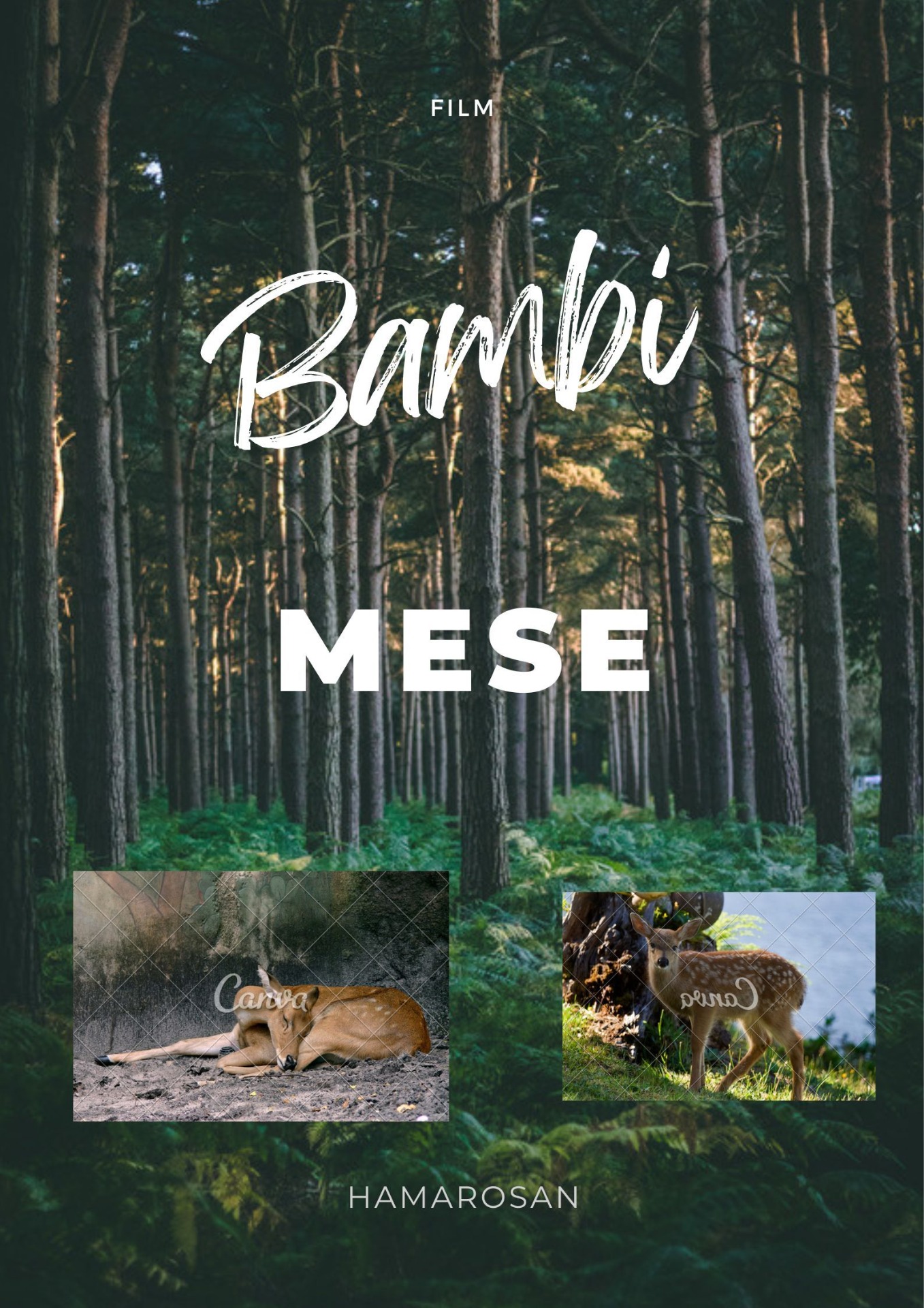 Filmplakát 3. osztály